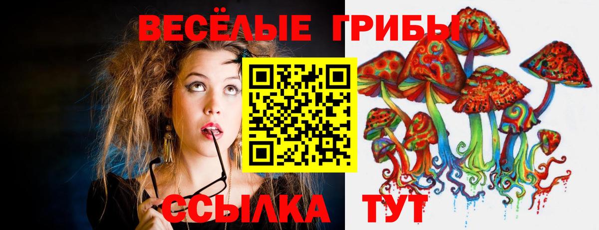 Моздок  Псилоцибиновые грибы мицелий  Вход с VPN 