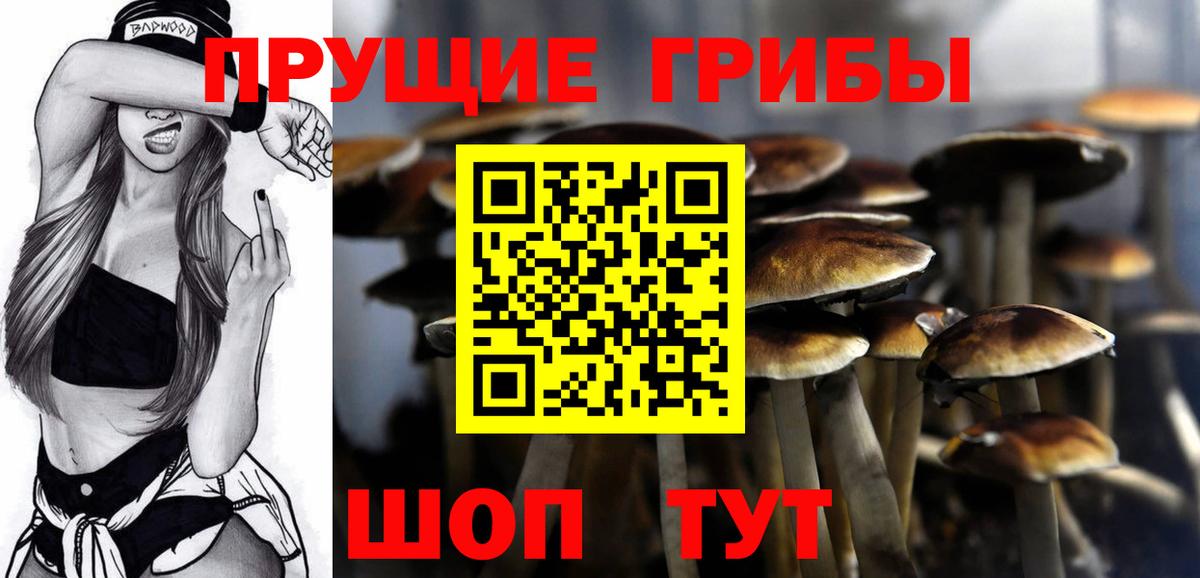 Галлюциногенные грибы MAGIC MUSHROOMS Моздок